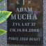 Adam Mucha