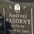 Andrzej Nagórny