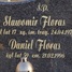 Daniel Floras