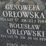 Genowefa Orłowska