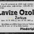 Lavīze Ozols