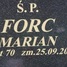 Władysław Forc