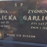 Zygmunt Garlicki