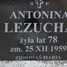 Antonina Leżucha