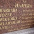 Barbara Hamera