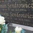 Józefa Sendrowicz