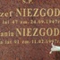 Stanisław Niezgoda