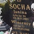 Wincenty Socha