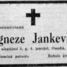 Agneze Jankevics