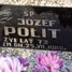 Józef Polit