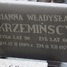 Władysław Krzemiński
