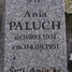 Ania Paluch