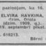Elvīra Havkina