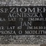 Agnieszka Ziomek
