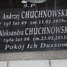 Andrzej Chuchnowski