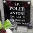 Antoni Polit