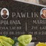 Apolonia Pawlik