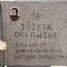 Józefa Orłowska