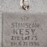 Stanisław Kęsy