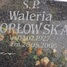 Waleria Orłowska