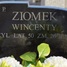 Wincenty Ziomek