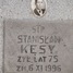 Wladysław Kęsy