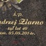 Andrzej Ziarno