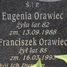 Eugenia Orawiec