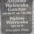 Waleria Walewska