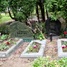 Kilikija Gruntiņa