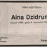 Aina Dzidrums