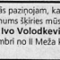 Ivo Volodkevičs