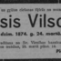 Ansis Vilsons