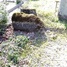 Dainis Putniņš