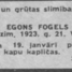 Egons Fogels