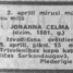 Johanna Celma