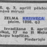 Zelma Krživeca