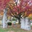 Arlington Cemetery (Pennsylvania)