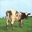 Pink Floyd released the album - "Atom Heart Mother"
