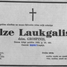 Ilze Laukgale