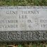 Gene  Tierney
