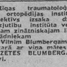 Lizete Blumberga