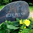 Ilze Pelnis