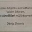 Aina Bišere