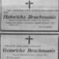 Heinrihs Brahmanis