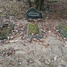Barkovsku dzimtas kapa vieta