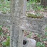. Amoliņ