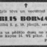 Kārlis Bormanis