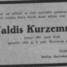 Valdis Kurzemnieks