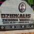 Ziedonis Dzirkalis 